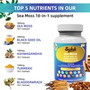 sykik-sea-moss-black-seed-oil-with-ashwa-4.jpg