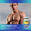 sykik-sea-moss-black-seed-oil-with-ashwa-6.jpg