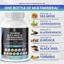 sea-moss-3000mg-black-seed-oil-2000mg-as-2.jpg
