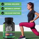 sea-moss-black-seed-oil-ashwagandha-turm-4.jpg