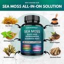 sea-moss-advanced-sea-moss-3000mg-black--3.jpg