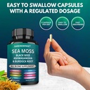 sea-moss-advanced-sea-moss-3000mg-black--5.jpg