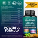 sea-moss-advanced-sea-moss-3000mg-black--2.jpg