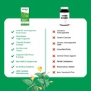 ashwagandha-ksm-66-capsules-for-men-and--6.jpg