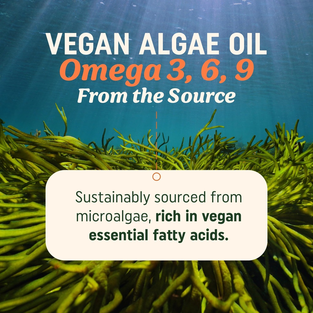 vegan-omega-3-6-9-algae-oil-plant-based--2.jpg