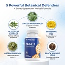 biomatrix-colon-cleanse-digestive-suppor-2.jpg
