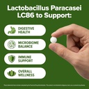 lactobacillus-paracasei-probiotic-240-ta-4.jpg