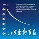 nmn-nicotinamide-mononucleotide-nad-supp-5.jpg