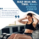 ingreens-500mg-nmnh-nmn-supplement-alter-5.jpg