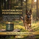 dog-longevity-supplement-nmn-nad-coq10-a-2.jpg