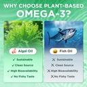 vegan-omega-3-gummies-1000mg-omega-3-fis-6.jpg