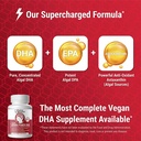 vegan-dha-for-brain-and-prenatal-100-alg-4.jpg