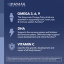 omega-3-6-9-dha-gummies-for-adults-plant-3.jpg