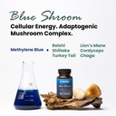 nutricel-supplements-blue-boost-120-and--6.jpg
