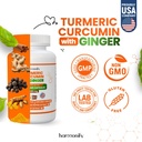 turmeric-curcumin-supplement-with-ginger-2.jpg