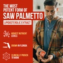 saw-palmetto-extract-10x-potency-pharmac-2.jpg