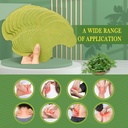 60pcs-patches-warming-herbal-patches-for-6.jpg