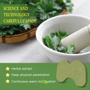 60pcs-patches-warming-herbal-patches-for-3.jpg