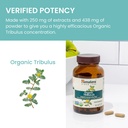 himalaya-organic-tribulus-terrestris-her-6.jpg