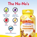 l-il-critters-immune-c-daily-gummy-suppl-5.jpg
