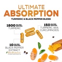 turmeric-curcumin-supplement-95-curcumin-6.jpg