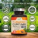 turmeric-curcumin-supplement-2600mg-95-c-4.jpg