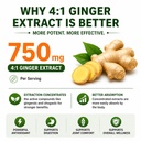 turmeric-curcumin-with-ginger-1750mg-hig-6.jpg