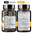 turmeric-and-black-pepper-extract-1500-m-2.jpg
