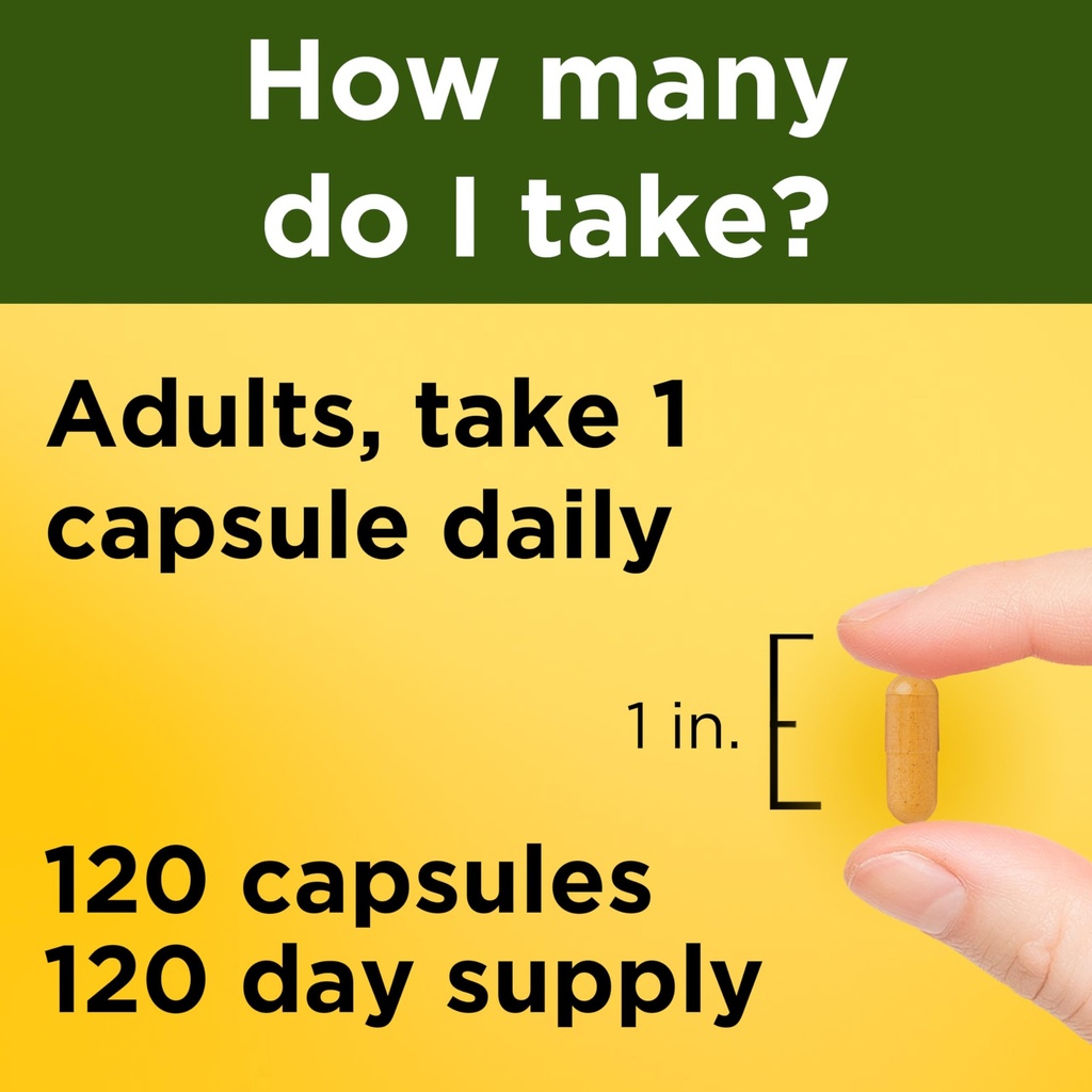 nature-made-turmeric-curcumin-500-mg-tur-4.jpg