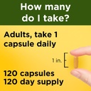 nature-made-turmeric-curcumin-500-mg-tur-4.jpg