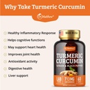 turmeric-curcumin-with-black-pepper-turm-3.jpg