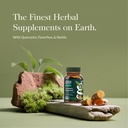 gaia-herbs-turmeric-supreme-sinus-suppor-2.jpg