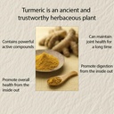 nivelle-pure-turmeric-curcumin-supplemen-3.jpg