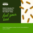 swanson-premium-turmeric-black-pepper-an-5.jpg