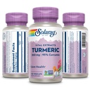 solaray-turmeric-supplement-300-mg-turme-2.jpg