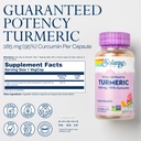 solaray-turmeric-supplement-300-mg-turme-3.jpg