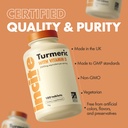 incite-nutrition-turmeric-supplement-200-3.jpg
