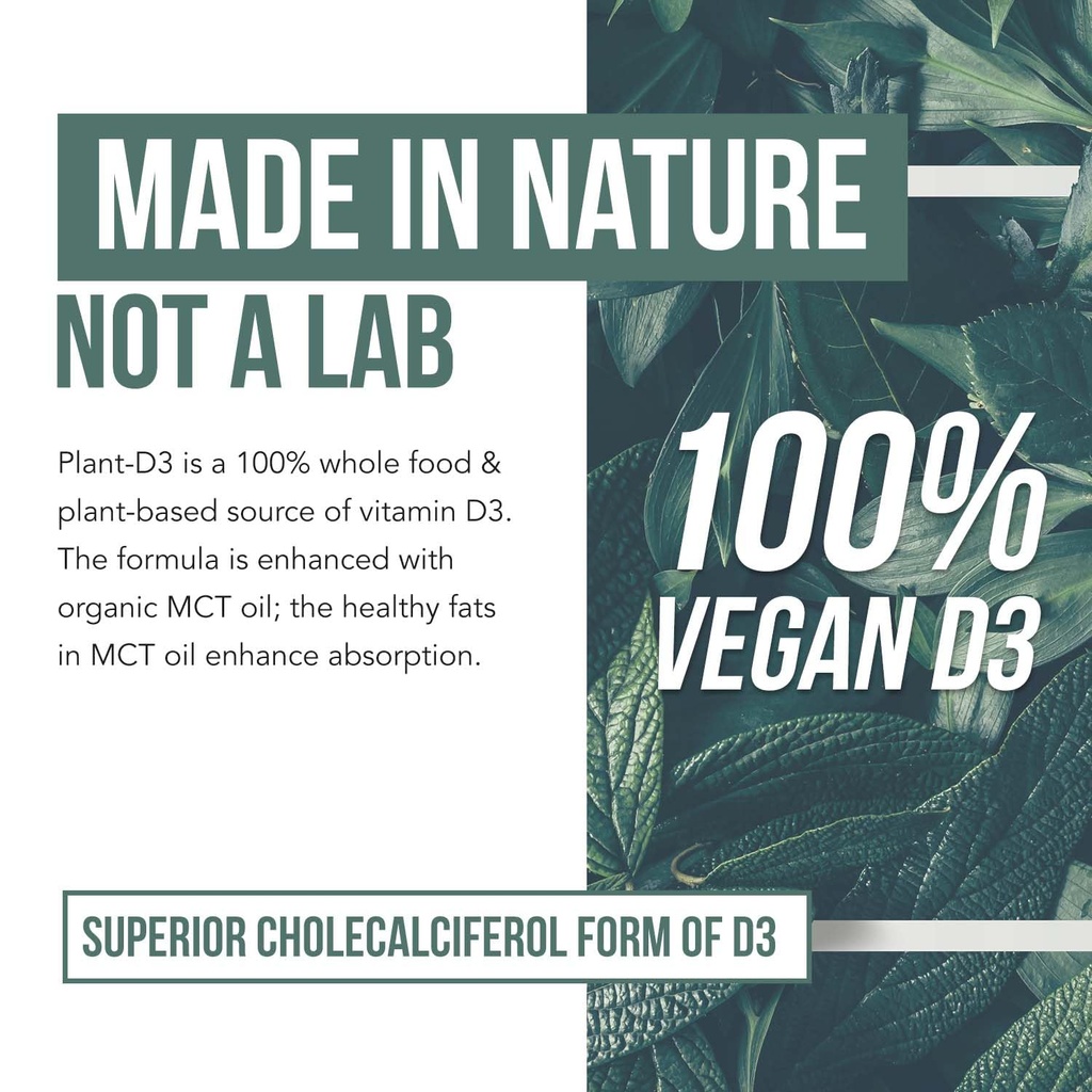 plant-d3-organic-vitamin-d3-5000-iu-vega-4.jpg