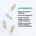 onnit-total-gut-health-daily-digestive-s-3.jpg