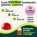 boochbod-probiotic-kombucha-gummy-prebio-6.jpg