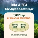 vegan-omega-3-algae-oil-plant-based-dha--3.jpg