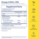 ritual-natal-choline-and-vegan-omega-3-s-5.jpg