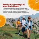 barlean-s-omega-3-fish-oil-supplements-s-4.jpg