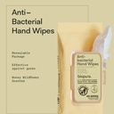 biopure-antibacterial-hand-wipes-antibac-2.jpg