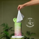 biopure-antibacterial-hand-wipes-juicy-w-6.jpg