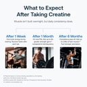 transparent-labs-creatine-hmb-creatine-m-4.jpg