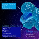 lucid-dreams-deep-sleep-mugwort-herb-5-h-3.jpg