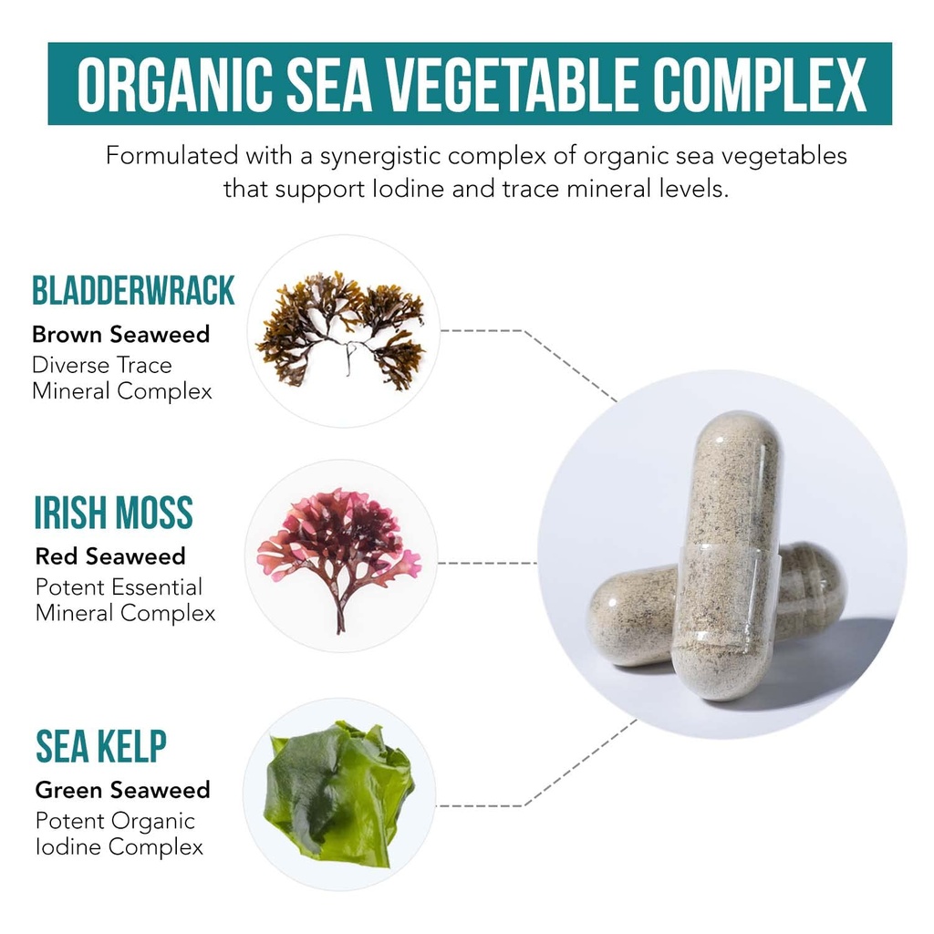 organic-iodine-supplement-from-sea-veget-3.jpg