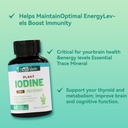 iodine-supplement-from-sea-vegetable-com-2.jpg