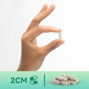 iodine-supplement-from-sea-vegetable-com-5.jpg